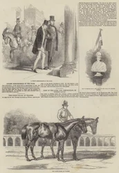 Herzog von Wellington